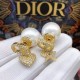 Dior Earring