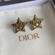 Dior Earring