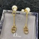 Dior Earring