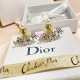 Dior Earring