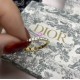 Dior The ing