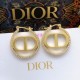 Dior Earring