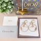 Dior Earring