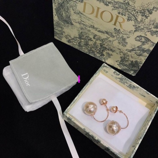 Dior Earring