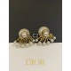 Dior Earring