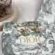 Dior Earring