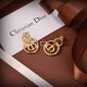 Dior Earring