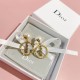 Dior Earring