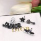 Dior Earring