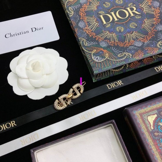 Dior Brooch