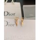 Dior Earring