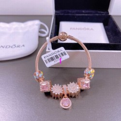 Pandora Bracelet