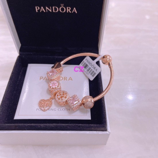 Pandora Bracelet