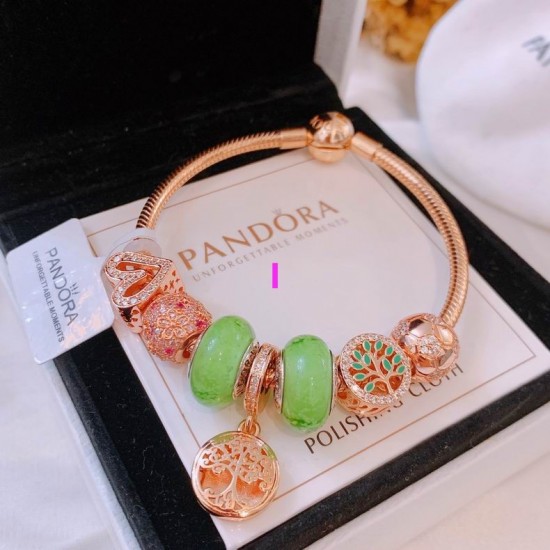 Pandora Bracelet