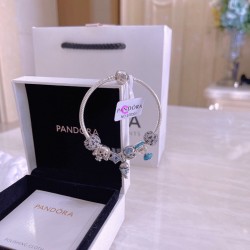 Pandora Bracelet