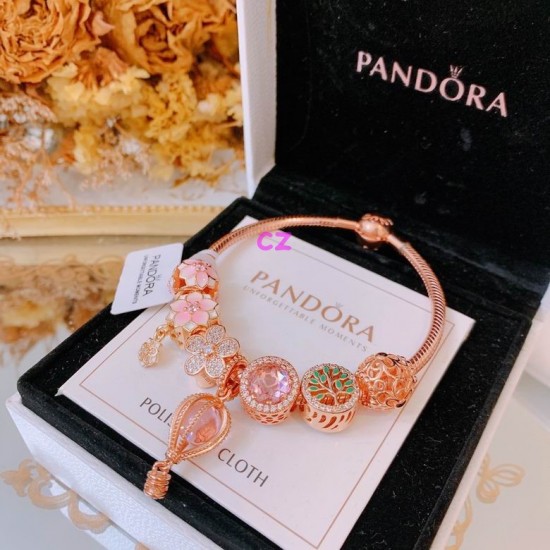 Pandora Bracelet