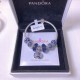 Pandora Bracelet