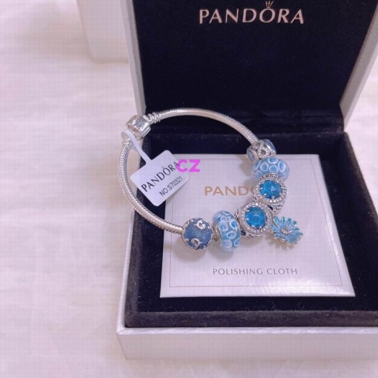 Pandora Bracelet