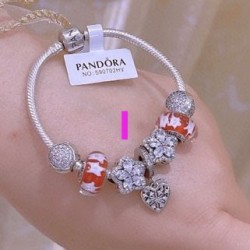 Pandora Bracelet