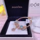 Pandora Bracelet