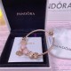 Pandora Bracelet