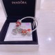 Pandora Bracelet