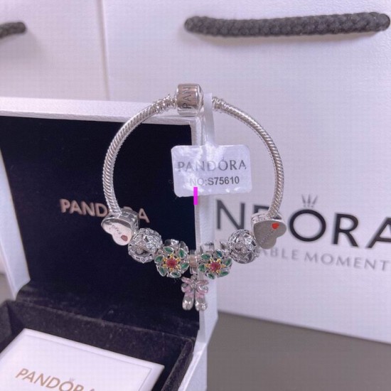 Pandora Bracelet