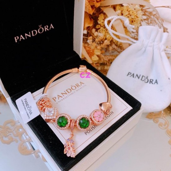 Pandora Bracelet