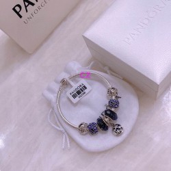 Pandora Bracelet