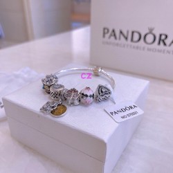 Pandora Bracelet