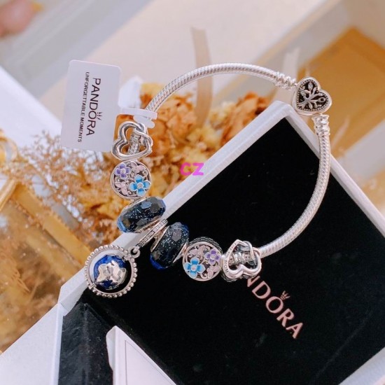 Pandora Bracelet