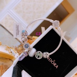 Pandora Bracelet