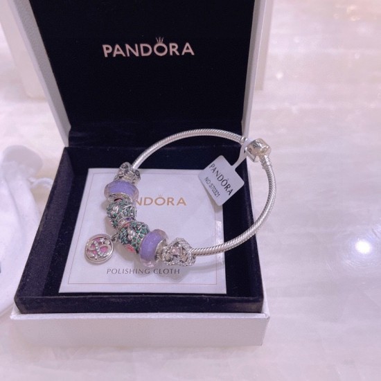 Pandora Bracelet