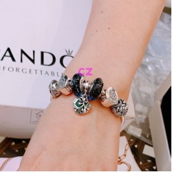 Pandora Bracelet