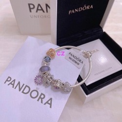 Pandora Bracelet