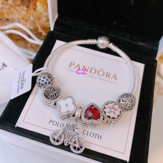 Pandora Bracelet