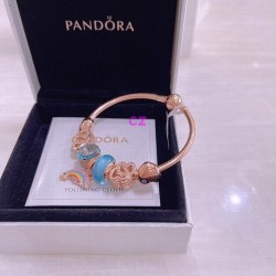 Pandora Bracelet