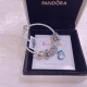 Pandora Bracelet