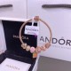 Pandora Bracelet