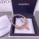 Pandora Bracelet