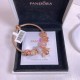 Pandora Bracelet