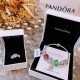 Pandora Bracelet