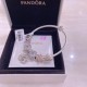 Pandora Bracelet