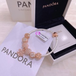 Pandora Bracelet