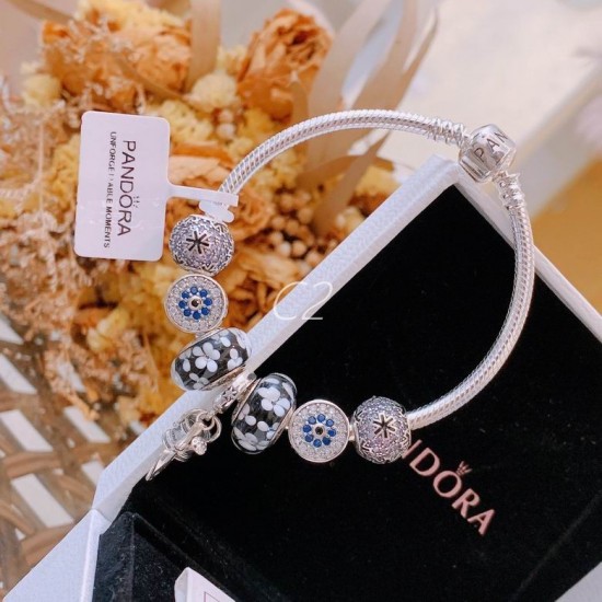 Pandora Bracelet