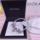 Pandora Bracelet