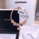 Pandora Bracelet