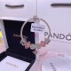 Pandora Bracelet