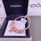 Pandora Bracelet