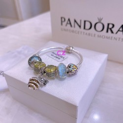 Pandora Bracelet